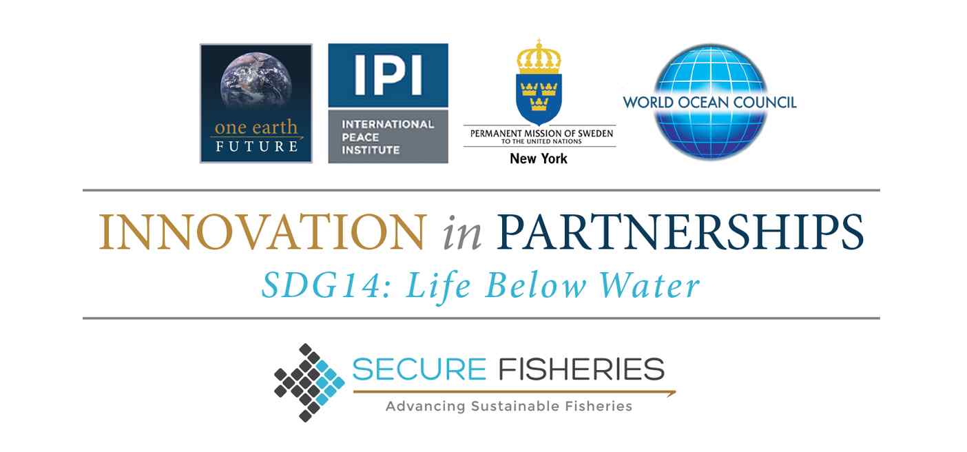 Innovation in Partnerships SDG14 Logo Innovation in Partnerships SDG14 Logo
