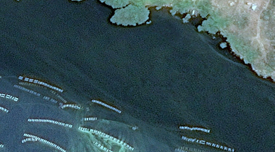 Google Earth Satellite photo of Lake Victoria