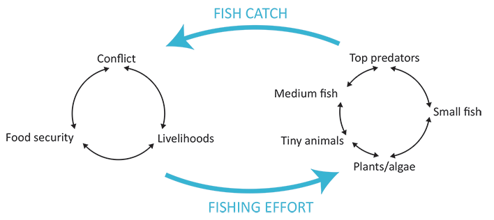 Fisheries and Violence