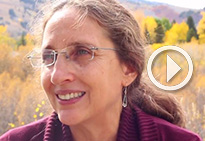 Ruth DeFries on the relationship between peace & environment