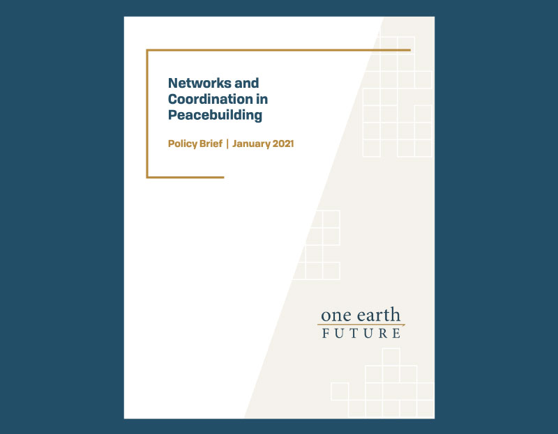 Networks And Coordination In Peacebuilding