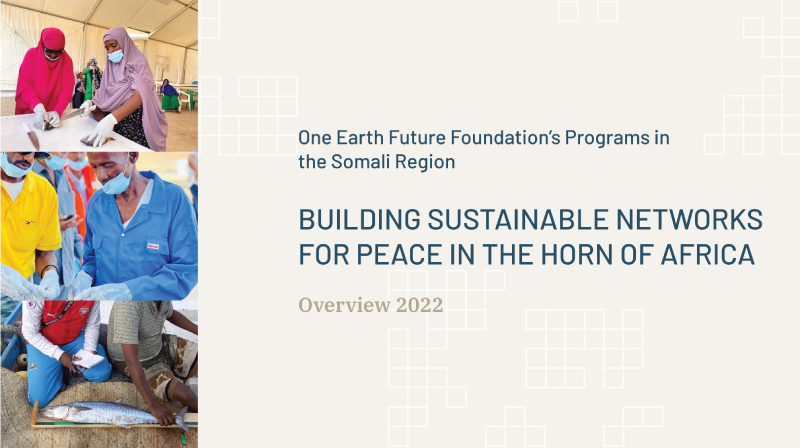 BUILDING SUSTAINABLE NETWORKS FOR PEACE IN THE HORN OF AFRICA