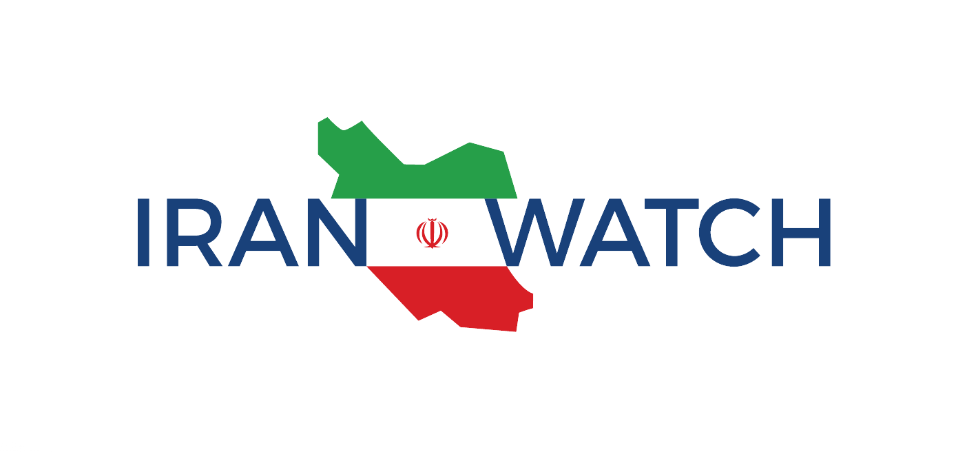 Vintage Seiko Iranian Royal Army Diver Automatic Watch 7005-8140 Iran |  WatchCharts Marketplace