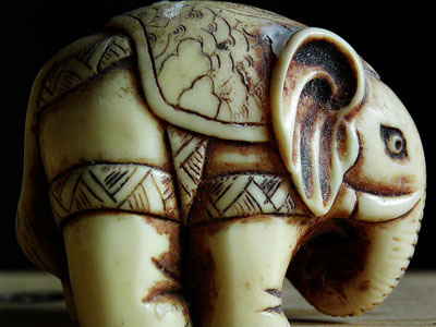 Ivory Elephant