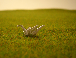 Peace crane