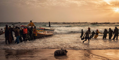 Nouakchottr Fisherman Pulling Nets