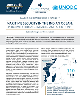 maritime security indian ocean