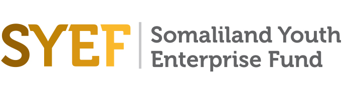 Somali Youth Enterprise Fund