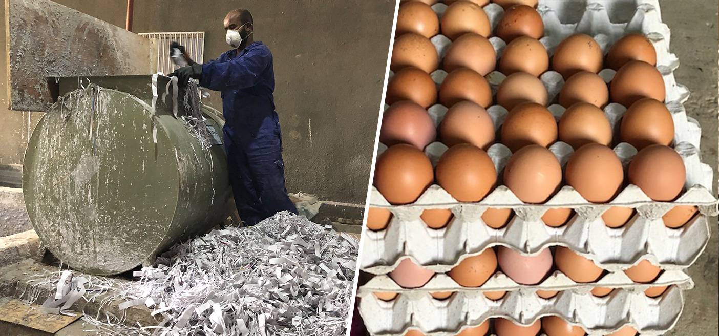 Somali company manufactures egg cartons from waste paper