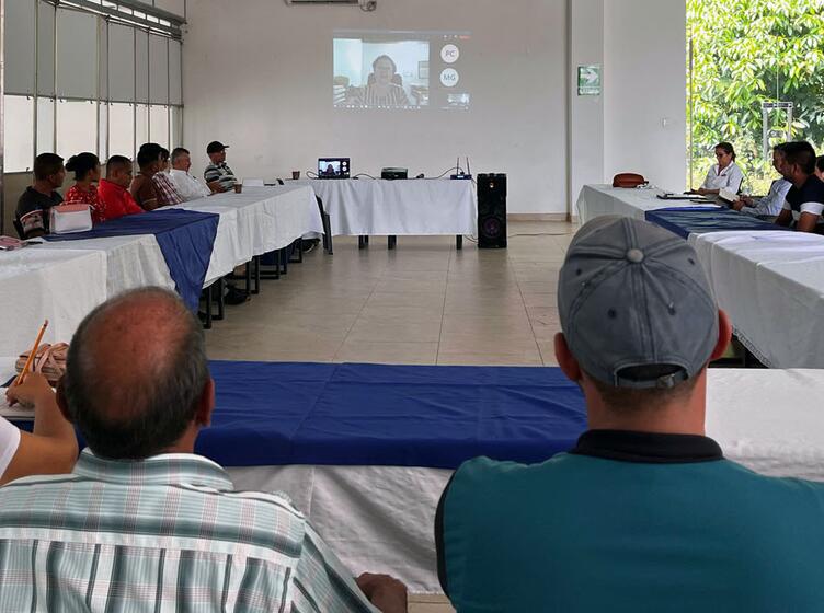 Binational dialogue Colombia Venezuela 1