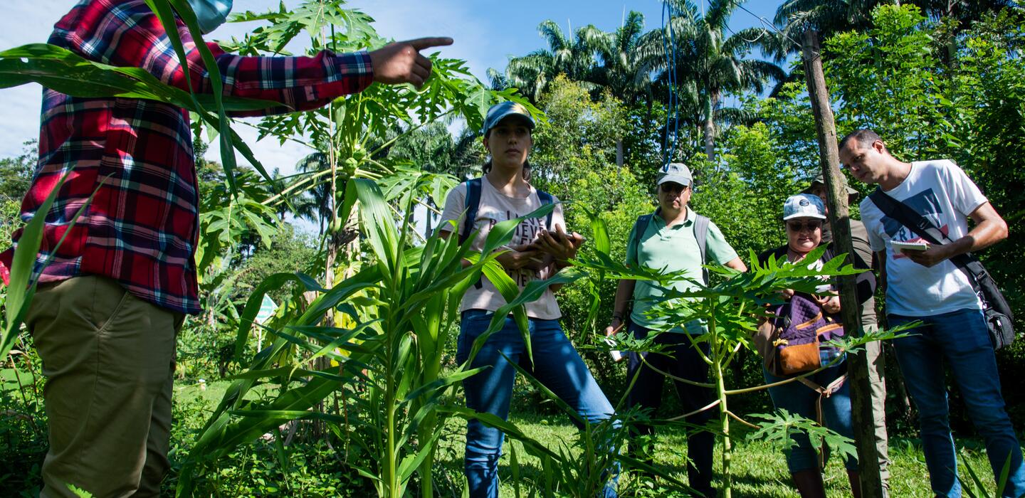 associated crops