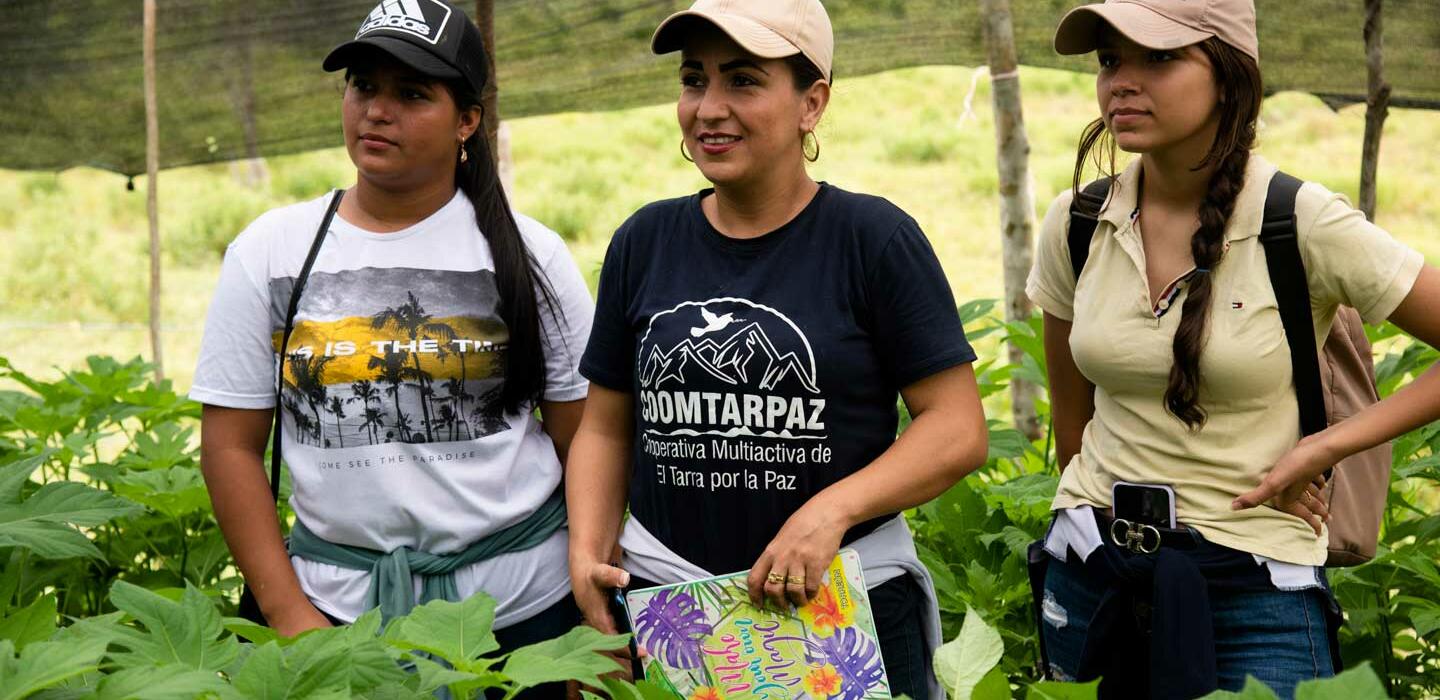 Network-Peace-Catatumbo-4