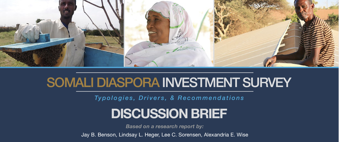 https://shuraako.org/publications/somali-diaspora-investment-survey-report-discussion-brief