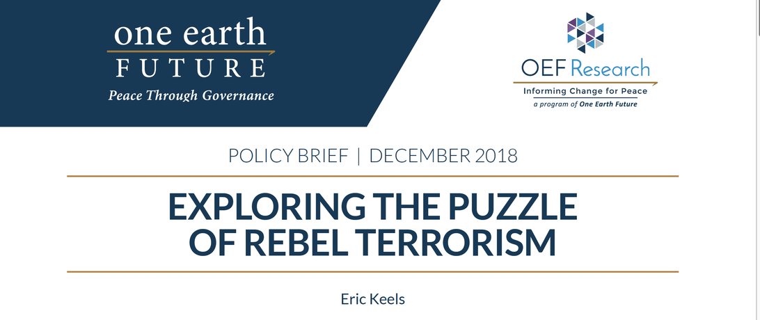 Exploring the Puzzle of Rebel Terrorism