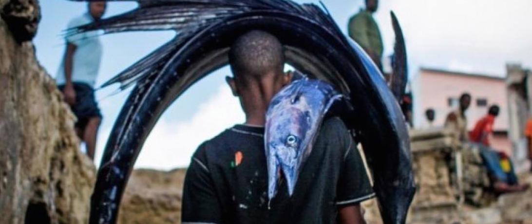 Washington Post blog examines Securing Somali Fisheries report