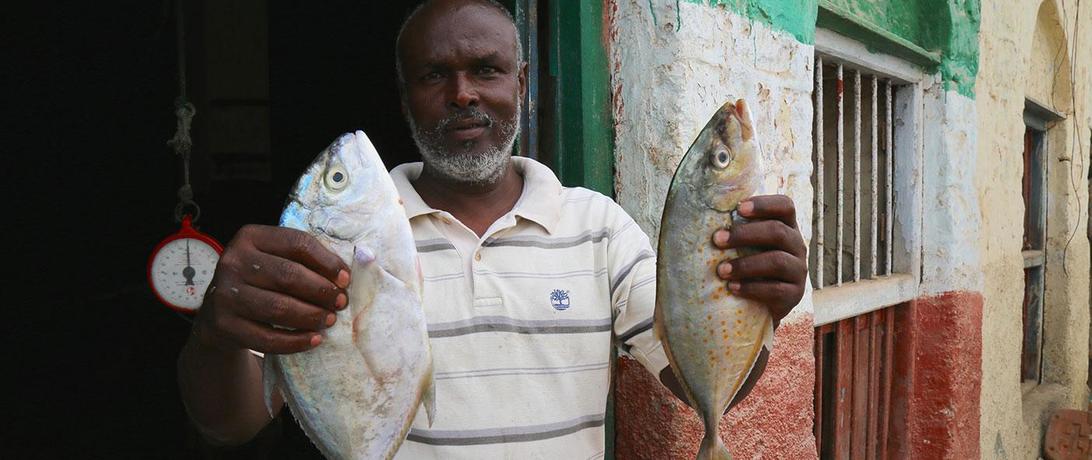 Fisheries Play a Key Role in Somaliland's Economic Growth