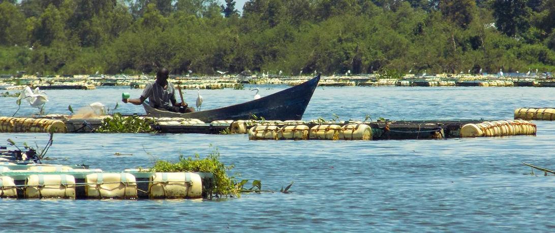 Blog Series Explores Mounting Conflict over Lake Victoria Fisheries
