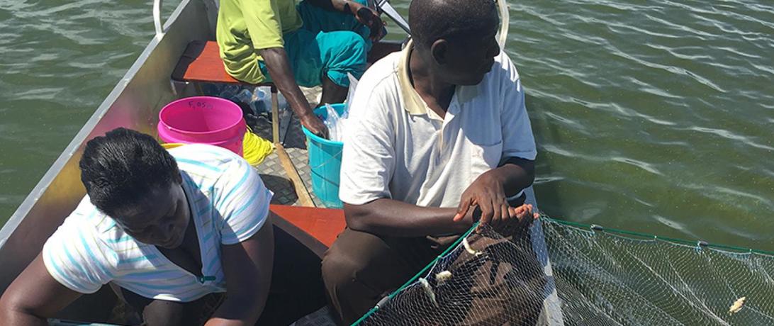 The Future of Lake Victoria: Not rain, nor water hyacinth, nor illegal nets  can stop us!
