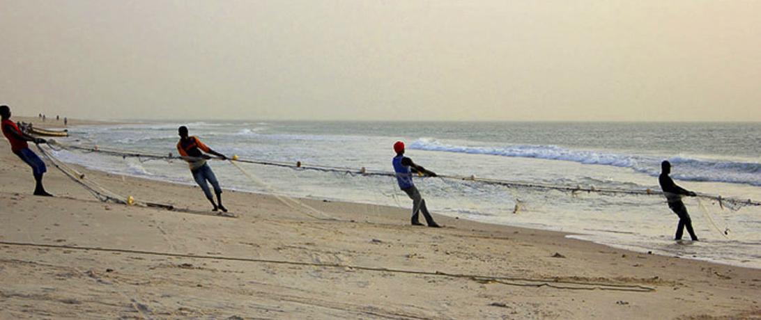 Fishing from beach with net