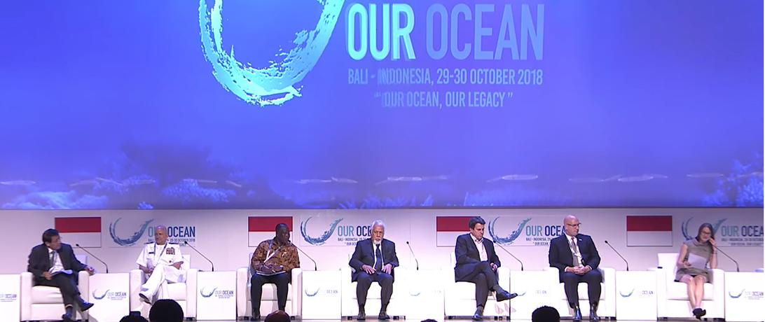 Our oceans panel