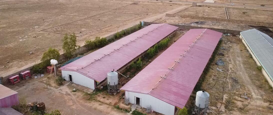 Drone shot of outside of 2 barns in Puntland one that holds adult chickens and one that holds baby chicks.