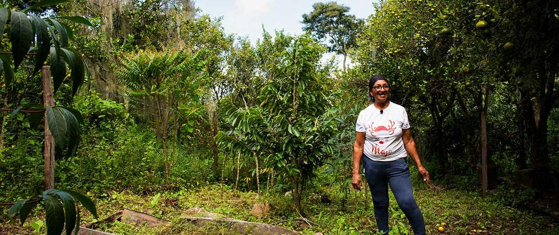 COOMPAZCOL_project_Regenerative_Agrictulture