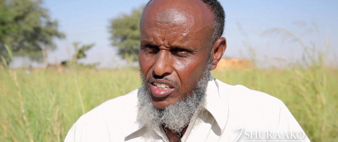 Farming in Somalia