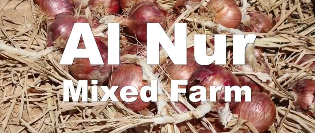 Al Nur Mixed Farm
