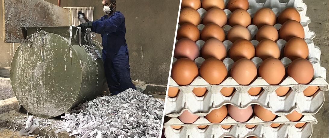 Somali company manufactures egg cartons from waste paper