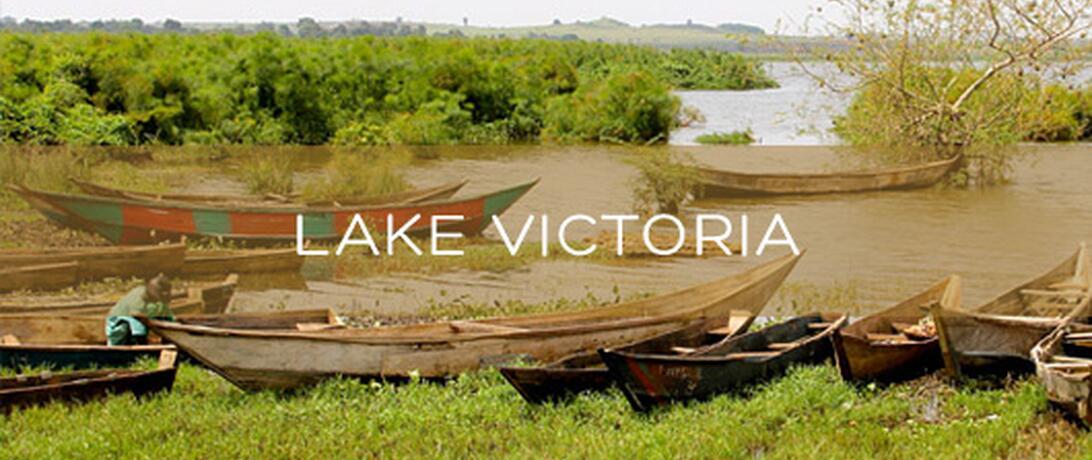 Protecting Lake Victoria Fisheries