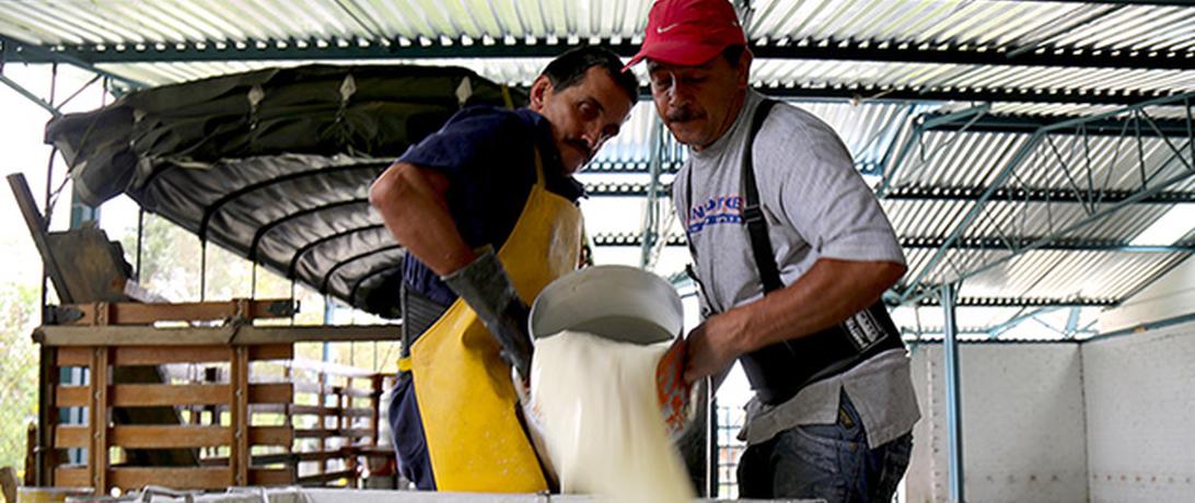 Dairy in Colombia