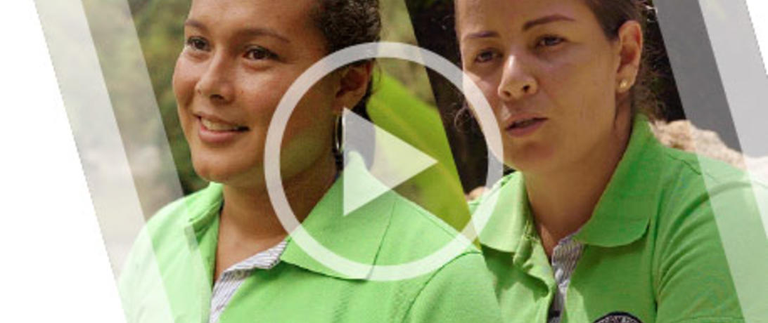 Sustitución de cultivos ilícitos en Colombia - Sandra y Doris