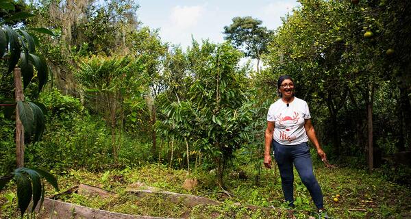 COOMPAZCOL_project_Regenerative_Agrictulture