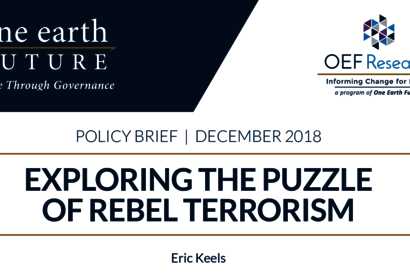 Exploring the Puzzle of Rebel Terrorism