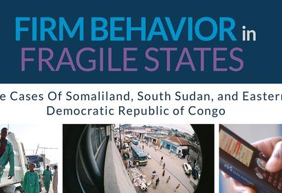Business in Fragile States