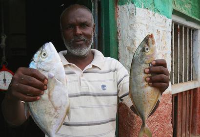 Fisheries Play a Key Role in Somaliland's Economic Growth