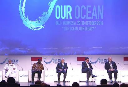 Our Ocean Panel
