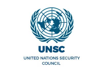 UN Security Council (UNSC)