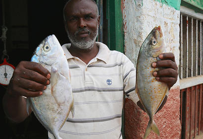 Somalia Sustainable Fisheries