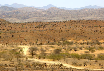 Barwaaqo farm Somalia