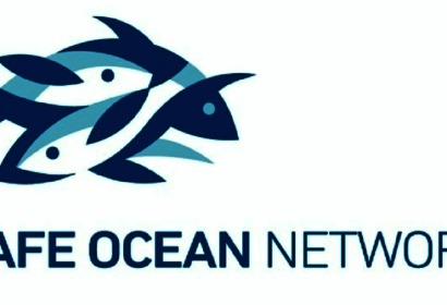 Safe ocean network image
