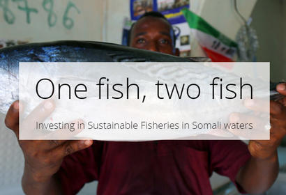 Sustainable fisheries Somalia