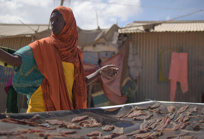 UN Somalia women fisheries