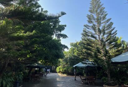 Outside shot of the hotel's promenade 