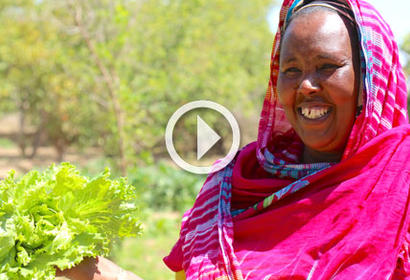 Somalia Agrifood Fund