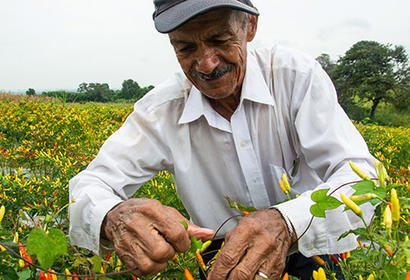 ex-combatants re-integration colombia farmer
