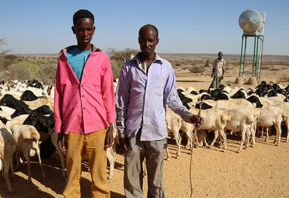 Somali Farming and Agriculture