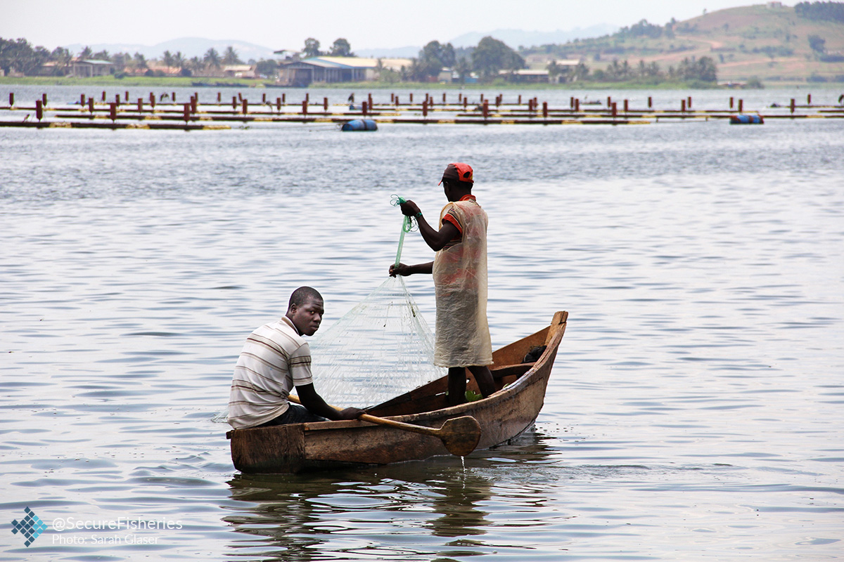 fishers in front of aquaculture cages lake victoria